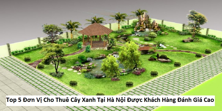 Top 5 Đơn Vị Cho Thuê Cây Xanh Tại Hà Nội Được Khách Hàng Đánh Giá Cao